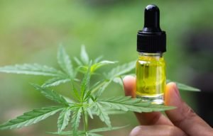 Are You Curious About the Hoopla About HEMP CBD?